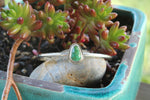 Turquoise Cuff 4